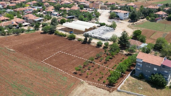 Denizli Bekilli Kutlubey Köyünde 883 m2 Tarla Fırsatı