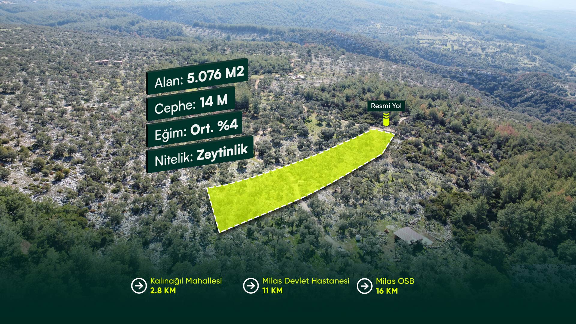 Muğla Milas Kalınağıl'da, Milas İlçe Merkezine Yakın, 5.076 m2 Zeytinlik