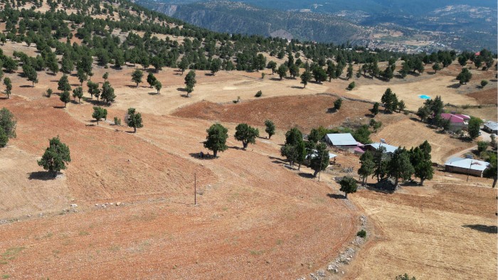 Adana Saimbeyli Aksaağaç'da Yerleşim Alanı İçerisinde 724 m2 İmarlı Arsa