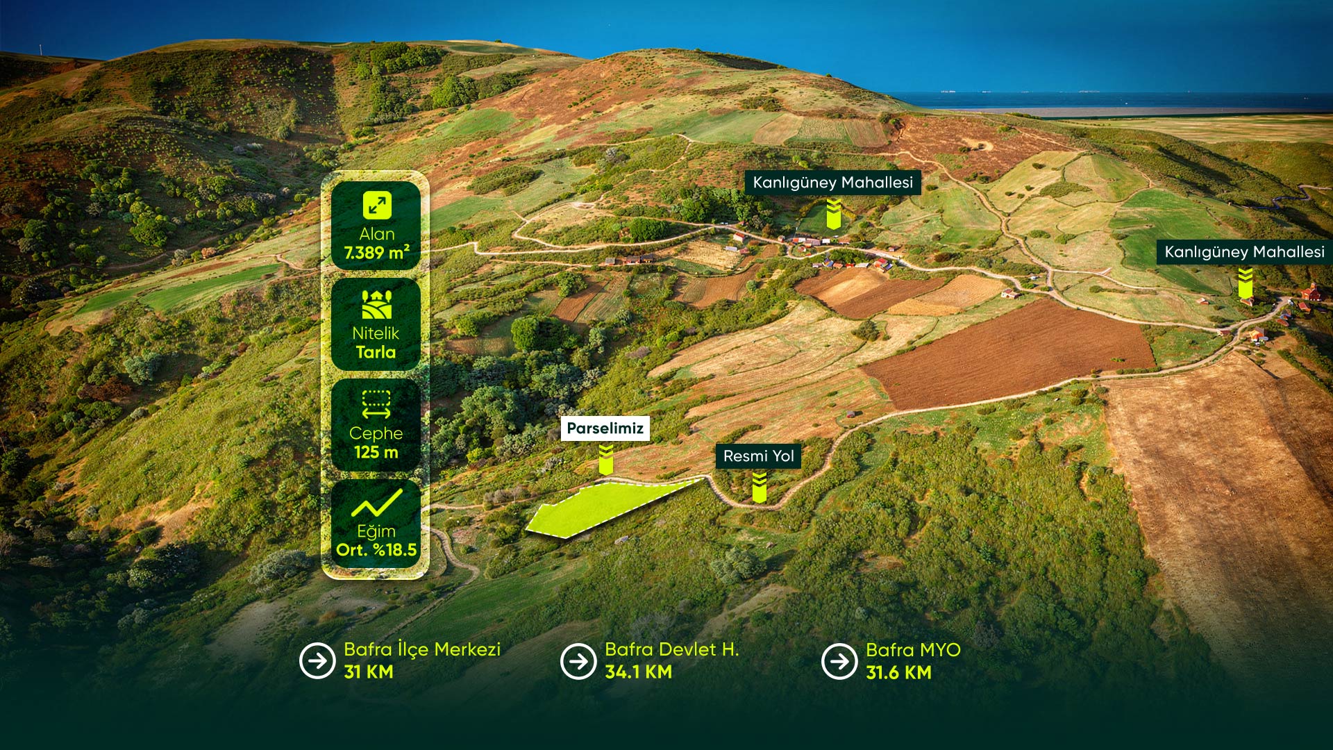 Samsun Bafra Kanlıgüney'de 125 Metre Cepheli, İçerisinde Kaynak Suyu Bulunan 7.389 m2 Tarla Fırsatı
