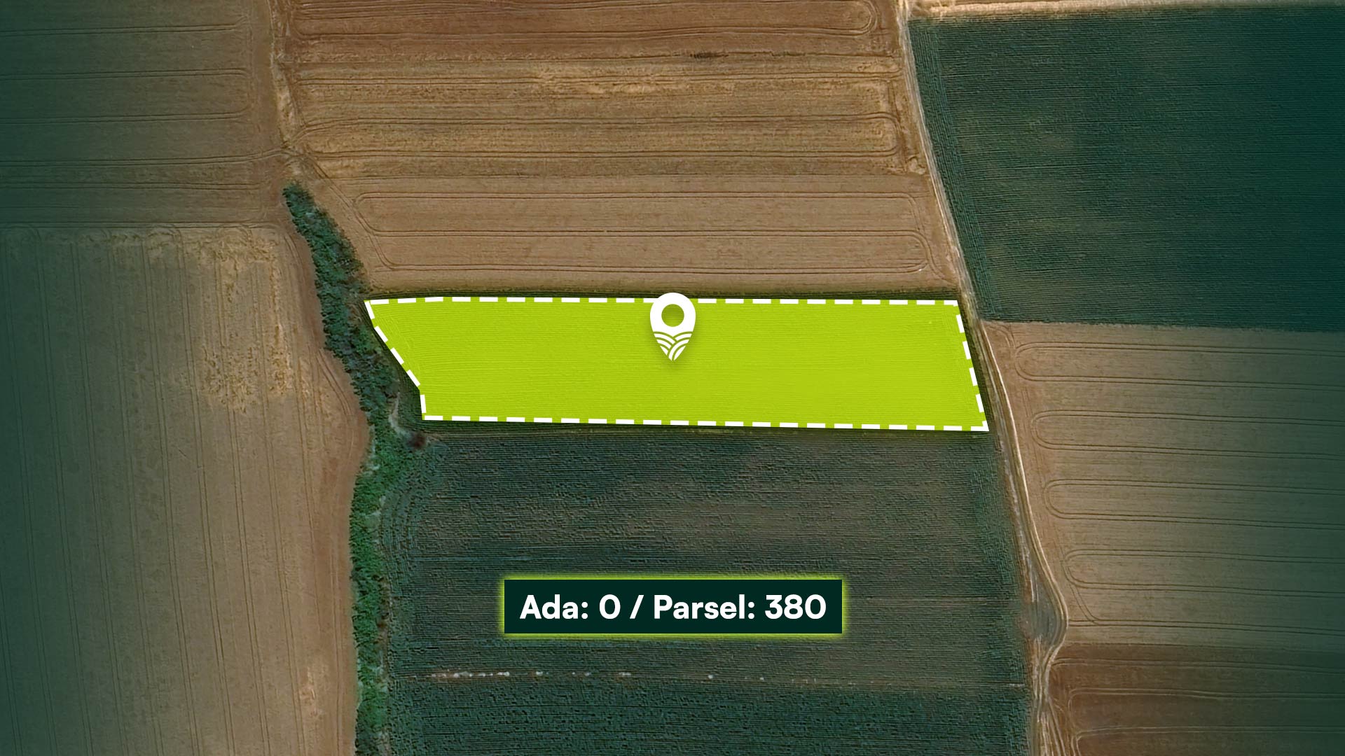 Tekirdağ Muratlı Arzulu’da Emsallerinin Yarı Fiyatına 8.000 m² Tarla