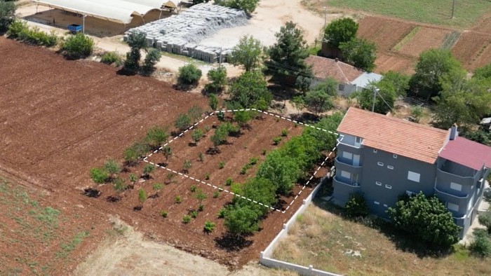 Denizli Bekilli'de Yerleşim Alanı İçerisinde 683 m2 Konut İmarlı Arsa Fırsatı