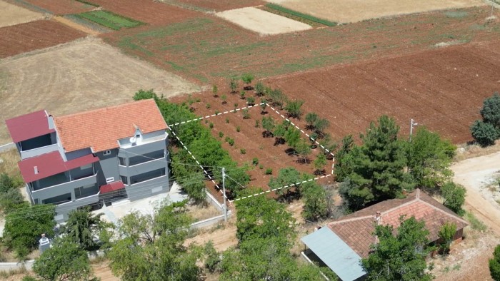 Denizli Bekilli'de Yerleşim Alanı İçerisinde 683 m2 Konut İmarlı Arsa Fırsatı