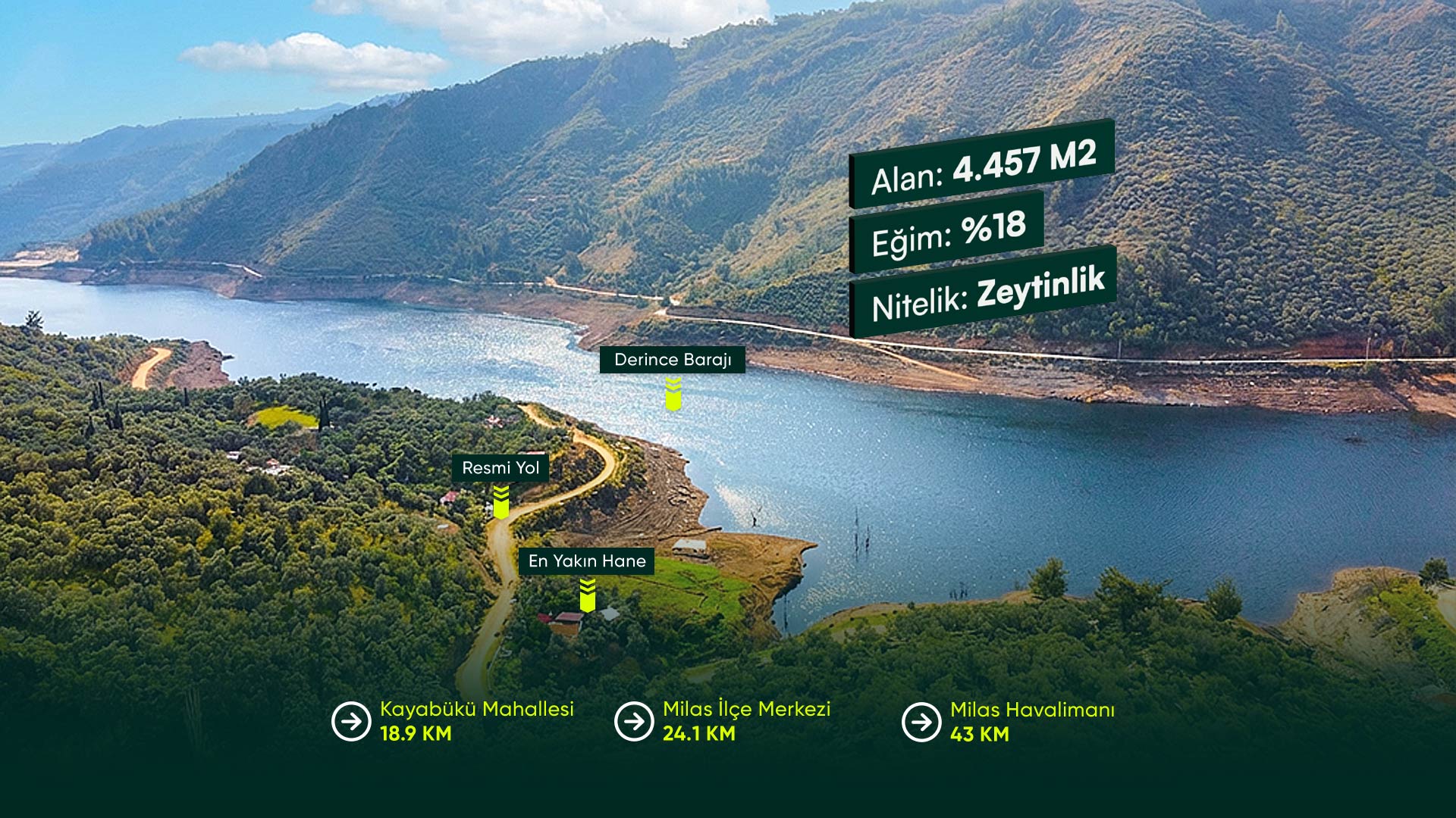 Muğla Milas Kayabükü'nde 4.457 m2 Zeytinlik Fırsatı