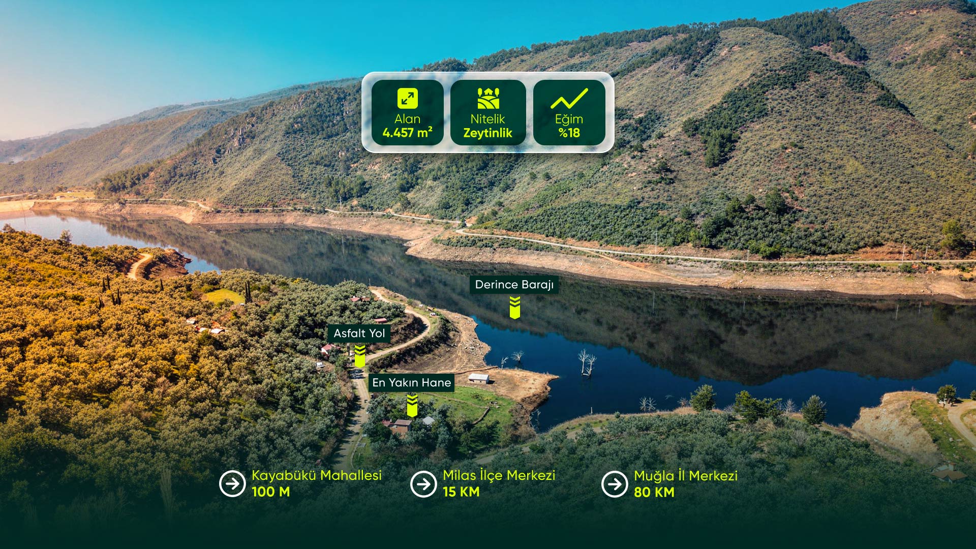 Muğla Milas Kayabükü'nde, Milas'a 15 Dakika Mesafede, Göl Manzaralı 4.457 m2 Zeytinlik