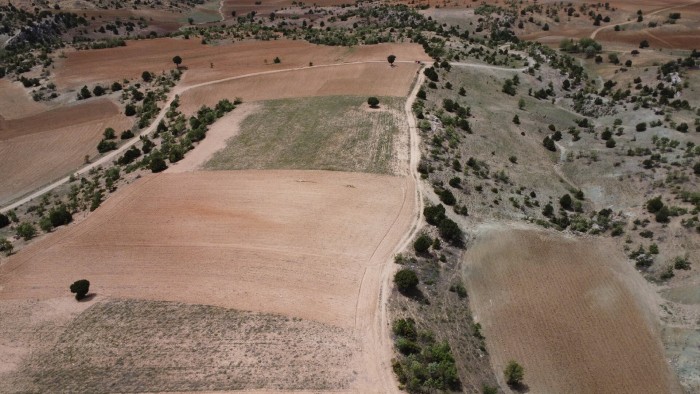 Karaman Merkez Damlapınar'da Devlet Arazisine Cephe 5.037 m2 Tarla Fırsatı