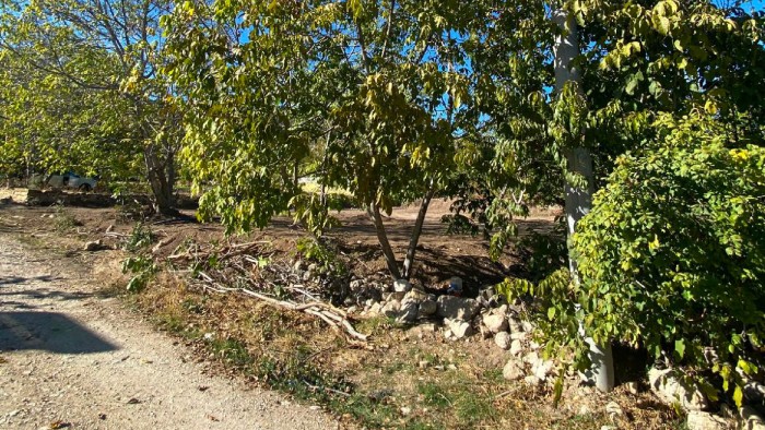 Antalya Korkuteli Yelten'de Yerleşim Alanı İçerisinde, Baraja Yakın 684 m2 Konut İmarlı Arsa Fırsatı