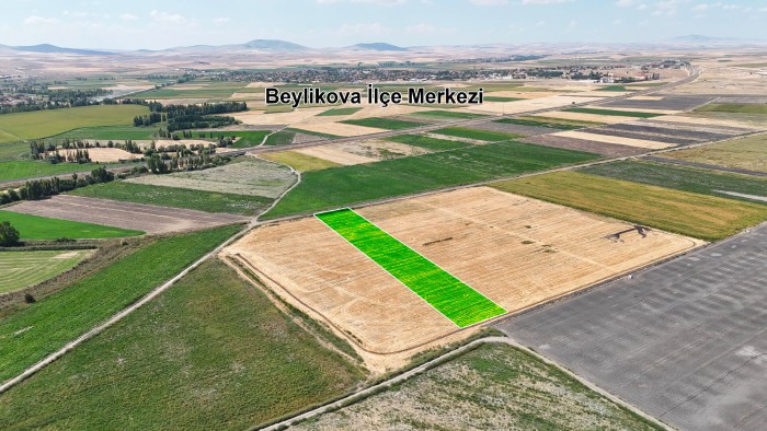 Eskişehir Beylikova’da İlçe Merkezine Yakın, Yola ve Suya Sahip 7.270 m2 Fırsat Arazi