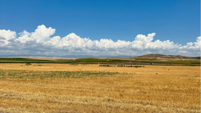 Eskişehir Beylikova’da İlçe Merkezine Yakın, Yola ve Suya Sahip 7.270 m2 Fırsat Arazi