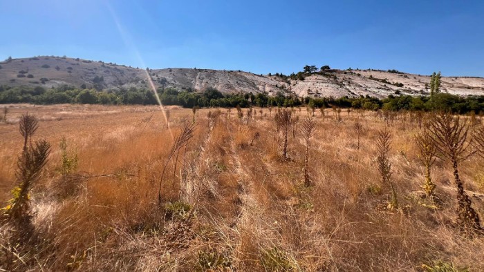 Kütahya Çavdarhisar İlcikören'de Köy Yerleşik Alan İçerisinde 426 m2 İmarlı Arsa Fırsatı