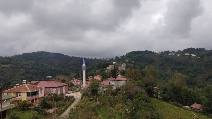 Ordu Perşembe Ramazan'da Denize 1 Km Uzaklıkta 2.650 m2 Fındık Bahçesi Fırsatı