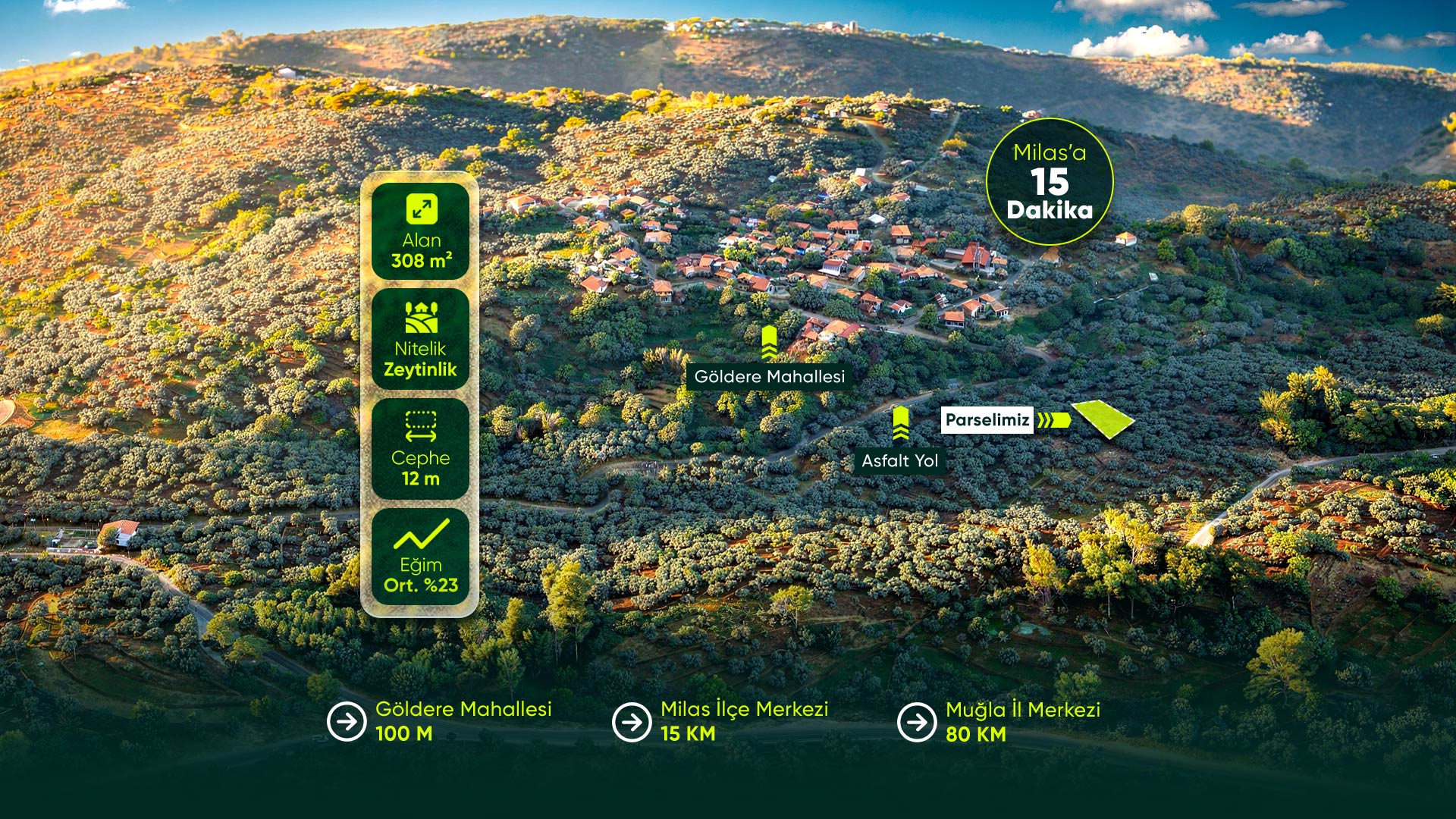 Muğla Milas Göldere Mahallesi’nde Yerleşik Alana Yakın 308 m² Zeytinlik Fırsatı